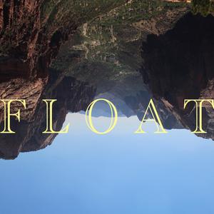 Float