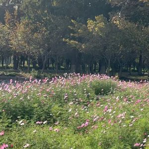 我想（prod.flojy x rainn god)