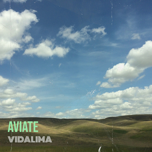 Aviate