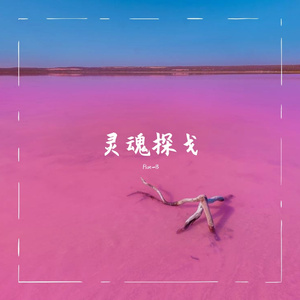 灵魂探戈（prod by 金桔0RANG3）