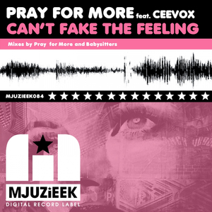 Can't Fake The Feeling (Babysitters Remix)