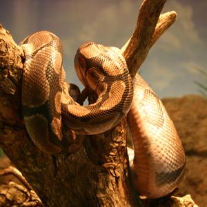 Something Old and Something New