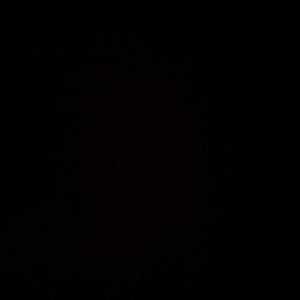 那场梦没醒之前的瞎白话