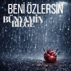 BENİ ÖZLERSİN