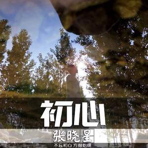 有没有那么一首歌