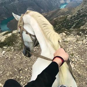 有钱的废物（DJ版）