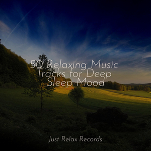 Drifting Sands of Peace