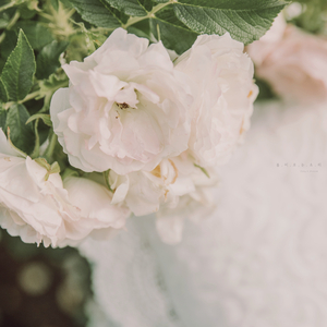 봄이 오는 소리