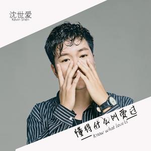 懂得什么叫爱过DJ