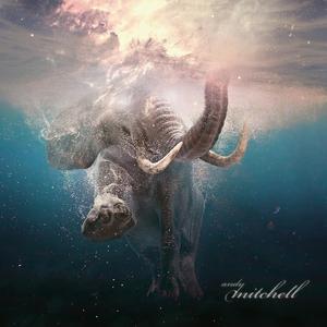 Everybody Feels The Same