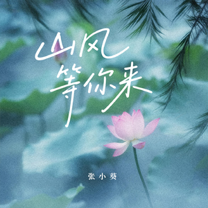 山风等你来