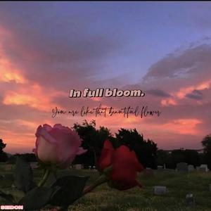 坠入深渊也爱你