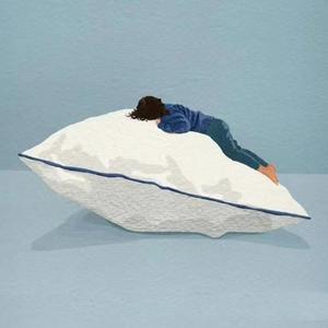 小模样cover张小只ya