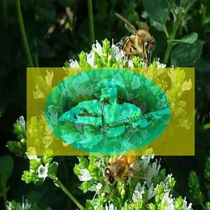 A Perfect Forest Day