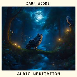 Dark Woods