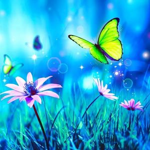 小小的书包 伴奏