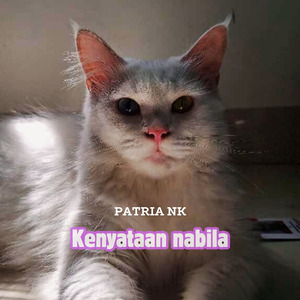 kenyataan nabila