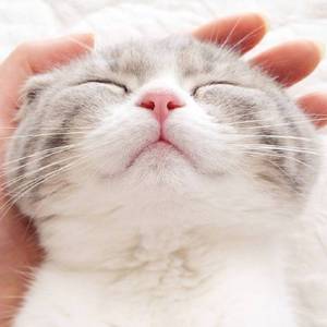 我想温暖拥抱这个世界