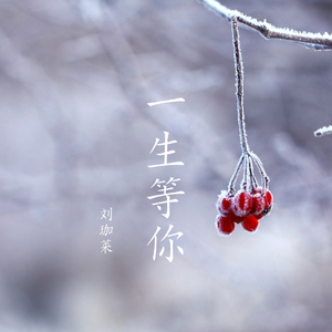 一生等你