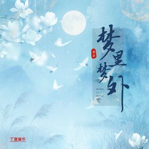 梦里梦外 (DJ版)
