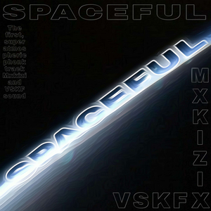 SPACEFUL