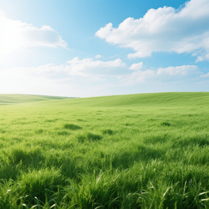 estoy calentando pà sali