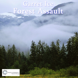 Forest Assault (Original Mix)