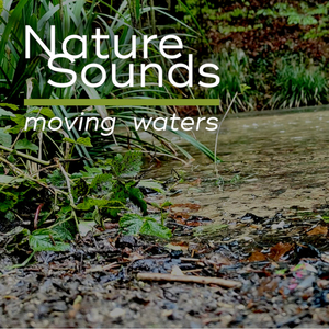 Nature Sounds / Moving Waters
