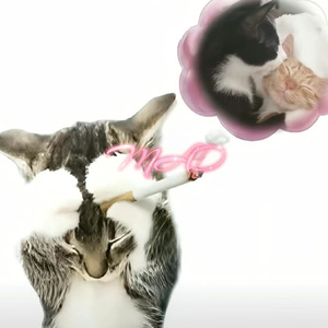MAD(Ft.DrifT)