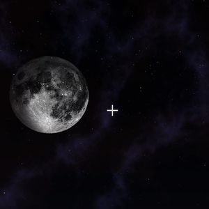 做我的猫（圣诞）