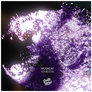 Kombucha