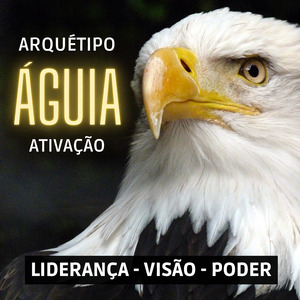 Arquétipo Águia Ativação (Liderança, Visão, Poder)