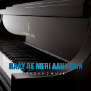 HAAY RE MERI AANKHEIN (Instrumental Version)