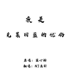 夜是克莱因蓝的忧伤