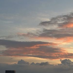 真実の愛