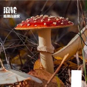 而这个美丽的季节它一直在改变