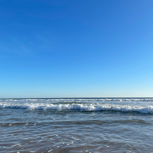 It's Been Six Months