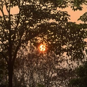 那年夏天的遇见