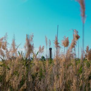 耳机里全是喜欢你