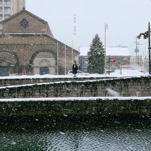 마음은 늘 엇갈리니까