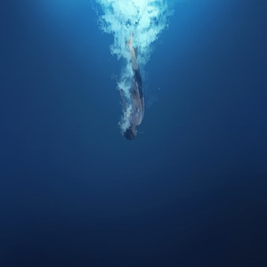 跌入云端的海豚