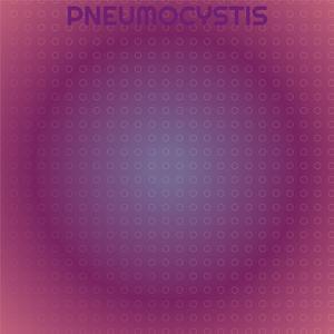 Textualization Pieces