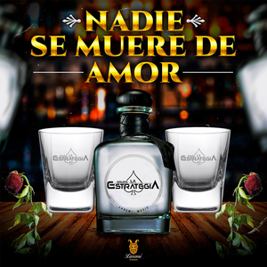Nadie Se Muere de Amor