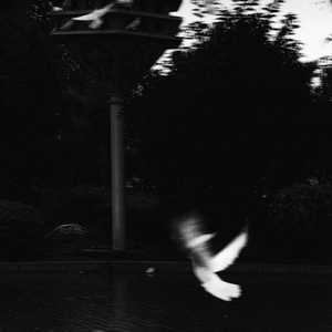 雾里（空灵女声版）