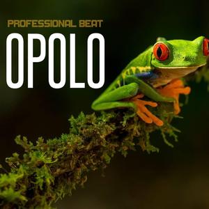 Opolo