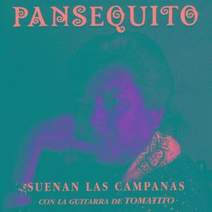 Anoche Soñé (Bulerías Flamenco)