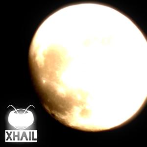 Moon Bass