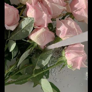 满地香浓Prod.費奈爾蘭德