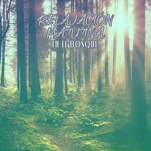 Los Sonidos de la Noche (Búho, Grillos)