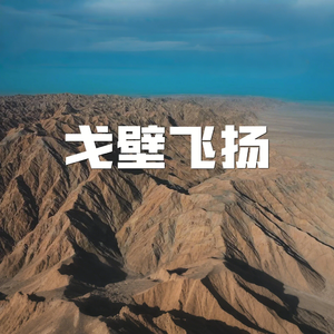 戈壁飞扬